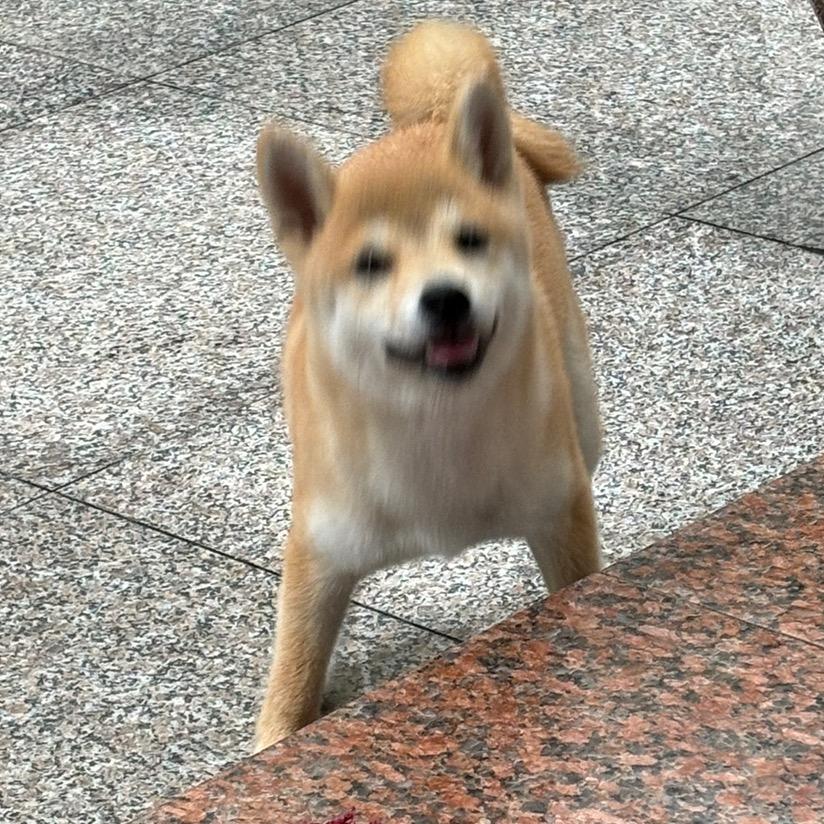 开心万岁