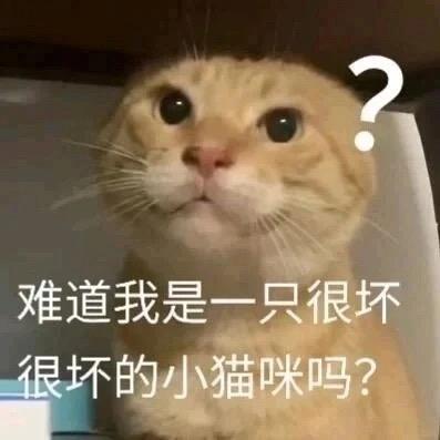 这大橙子你就造吧