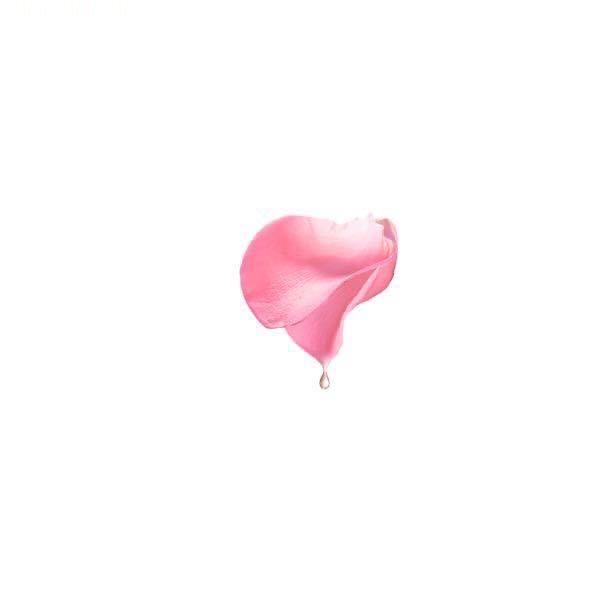 长绿园艺