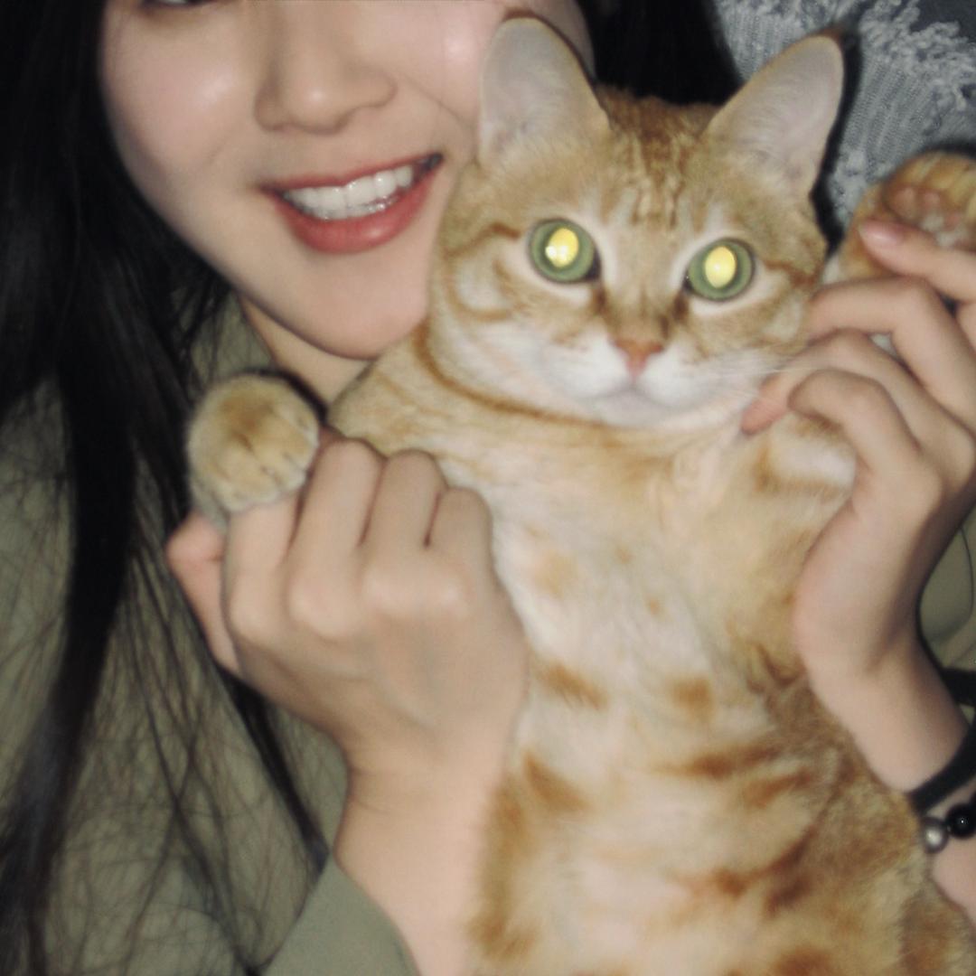 大耳朵兜兜