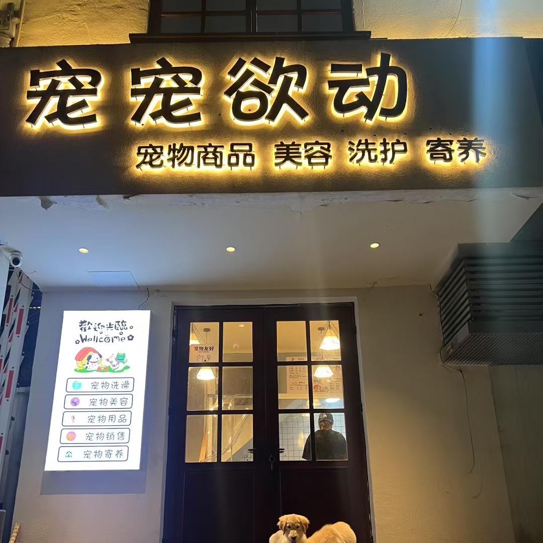 宠宠欲动好宠