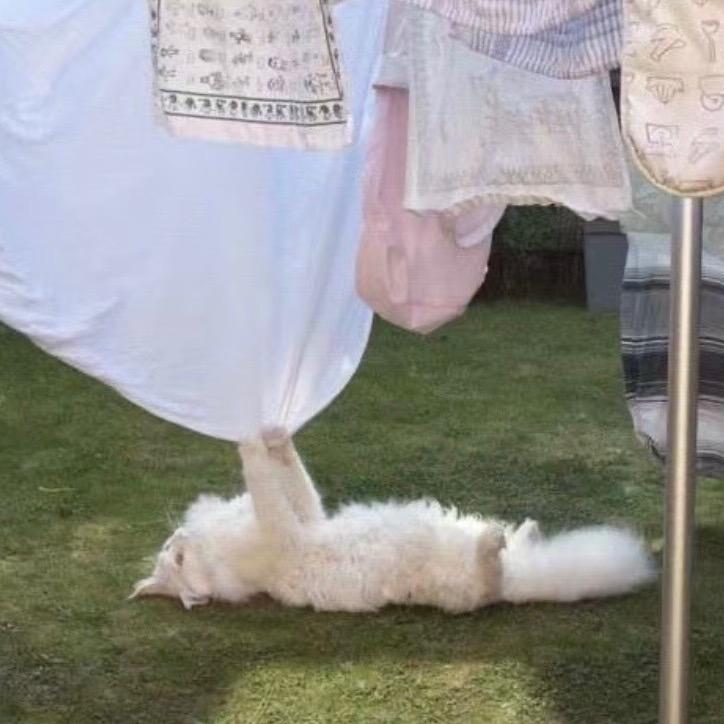 自然醒wa-
