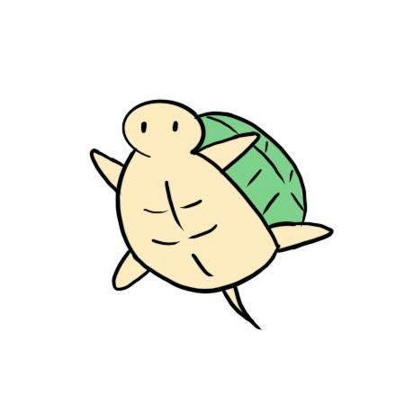 小乌龟