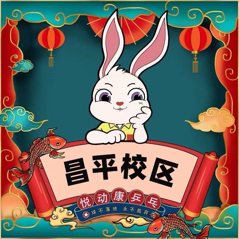 悦动康乒乓(昌平店)