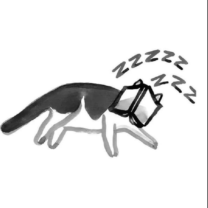 竹笋7
