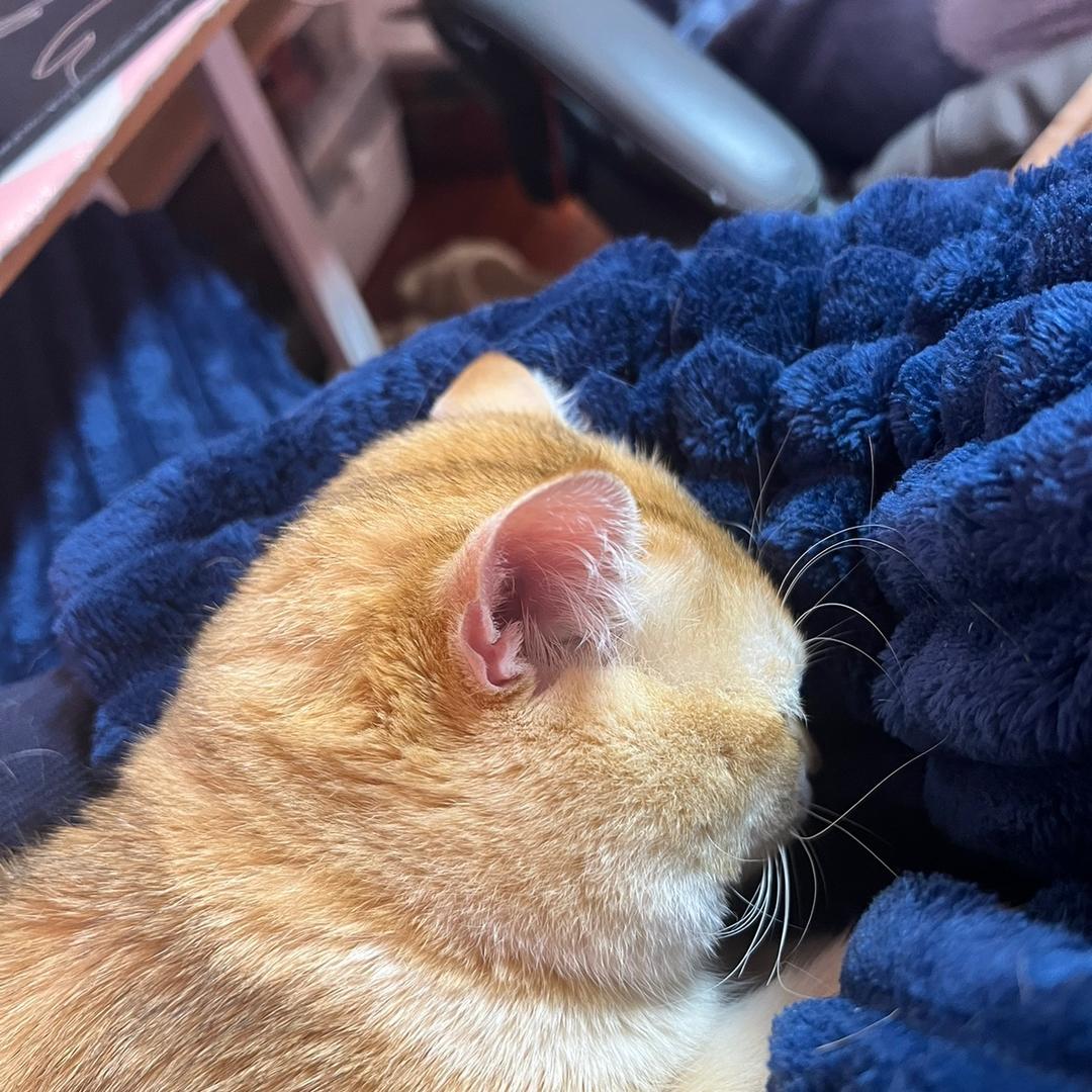 天龙八部怀旧服初八