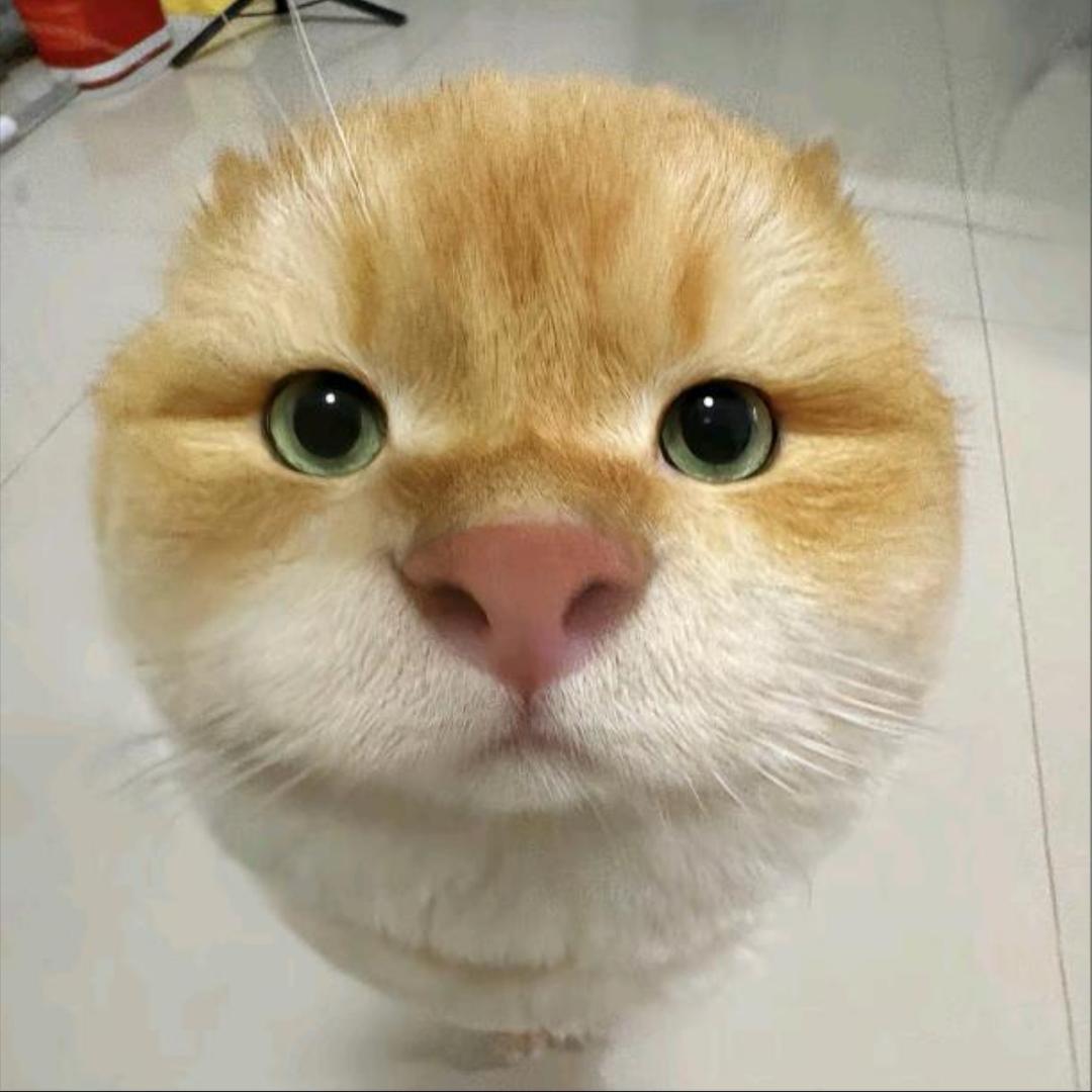小睫毛