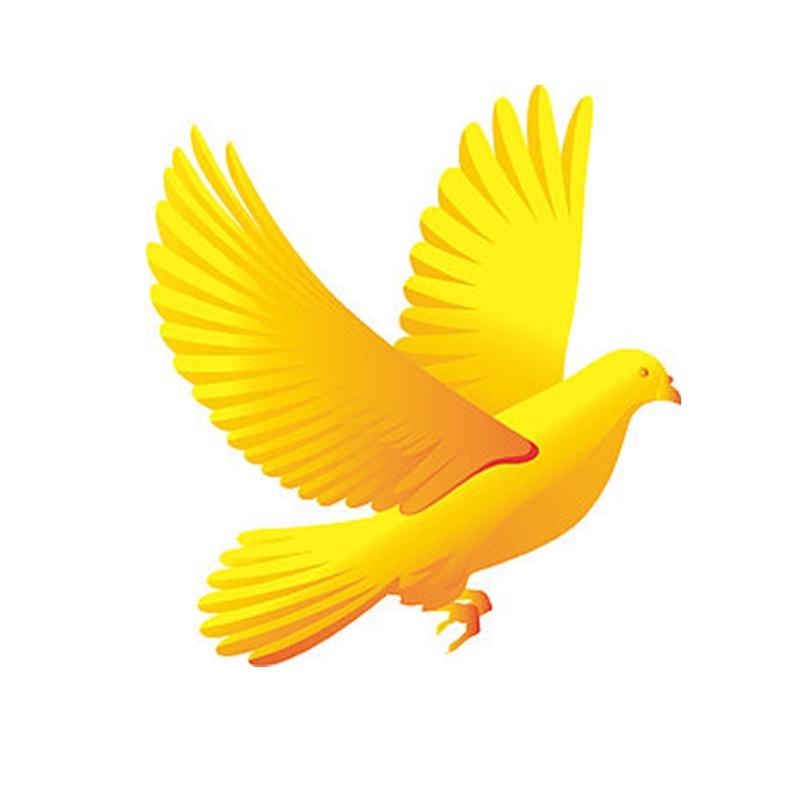 楼鸽天落𓅯ˎˊe族