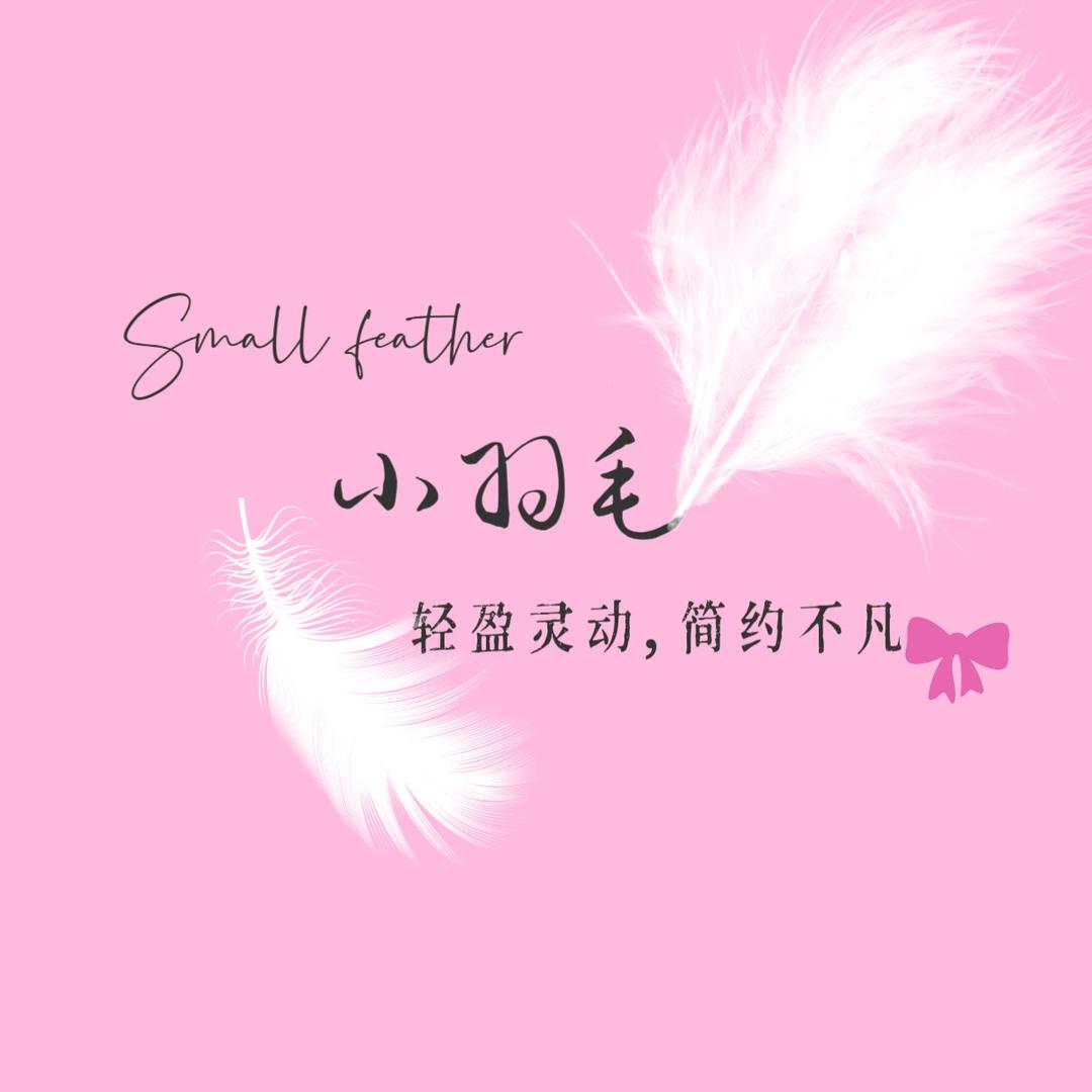 小羽毛服装
