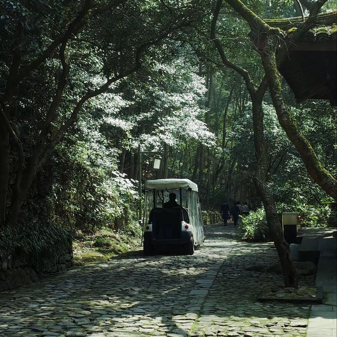 格斯