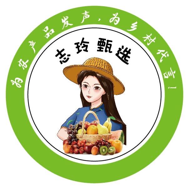 志玲甄选