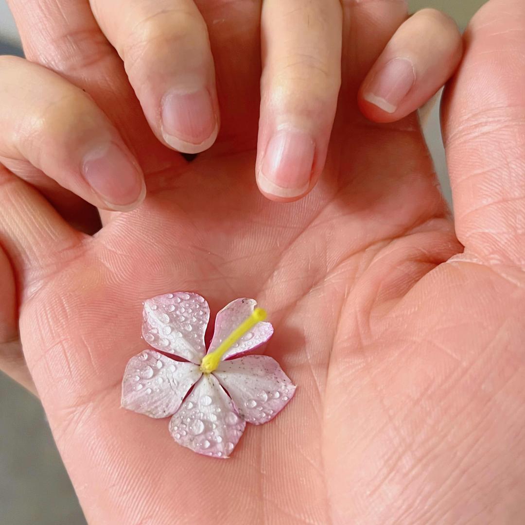 冯教练不是教练