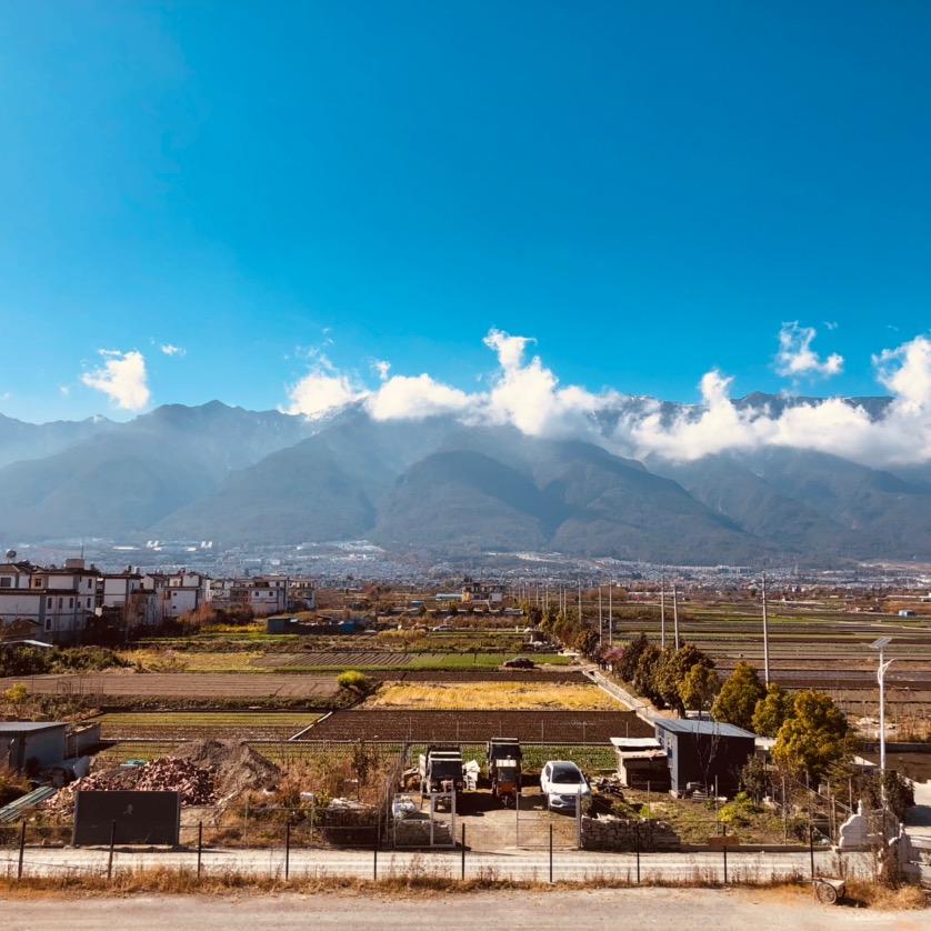 杏林春暖沐朝霞