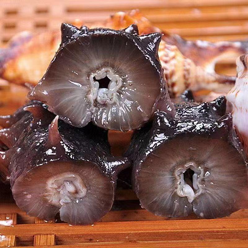 海参海产品批发