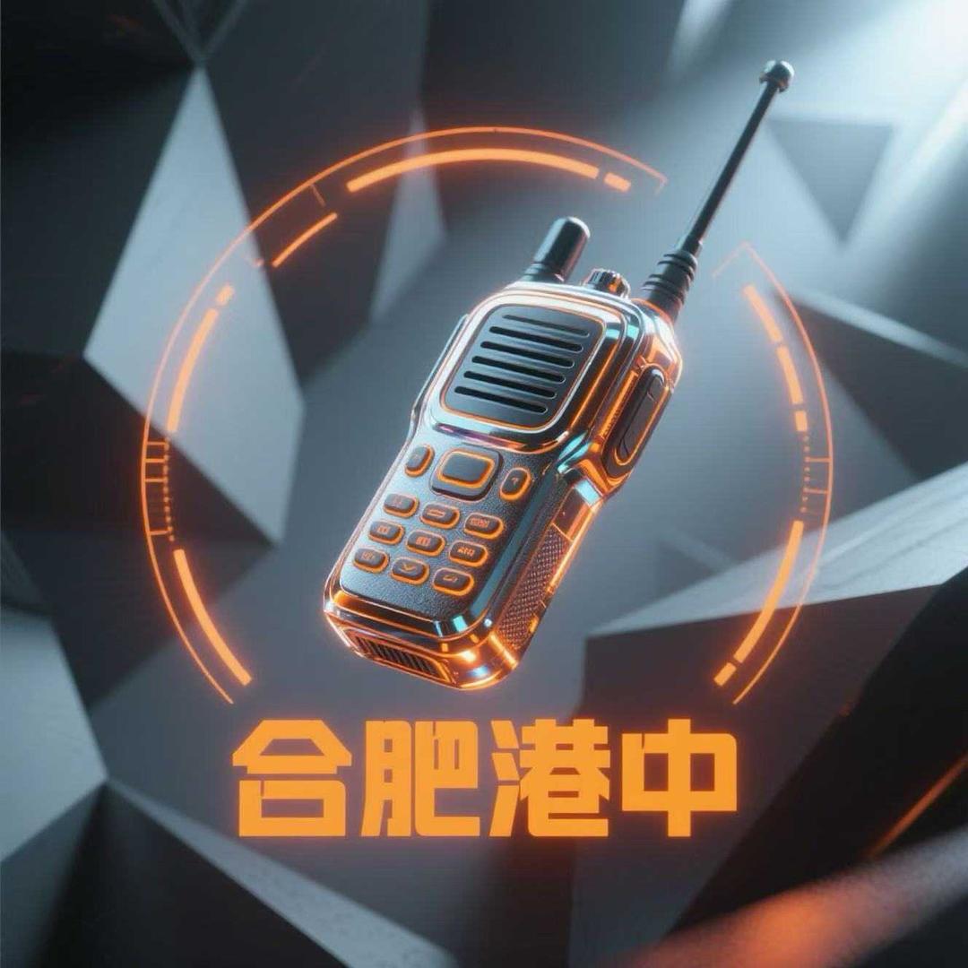 合肥港中