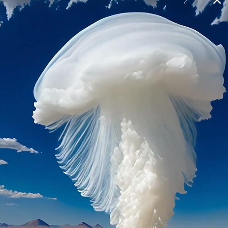 川哥〈木子李〉