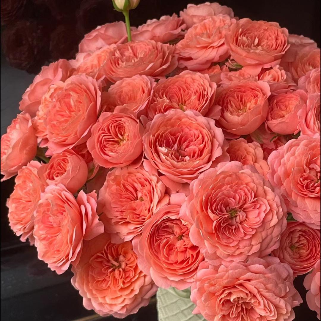 与你花卉