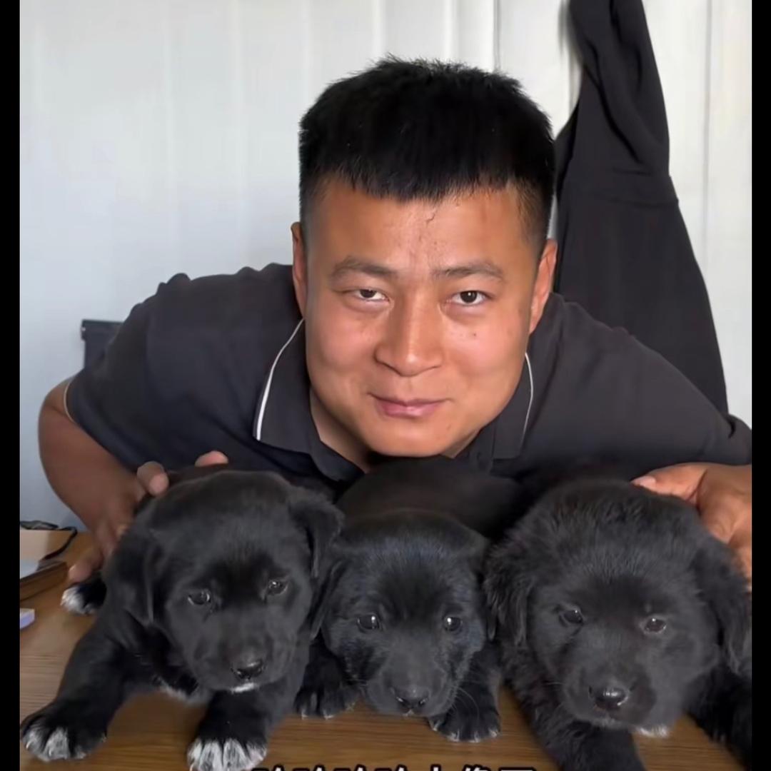 小黑折扣新车批发