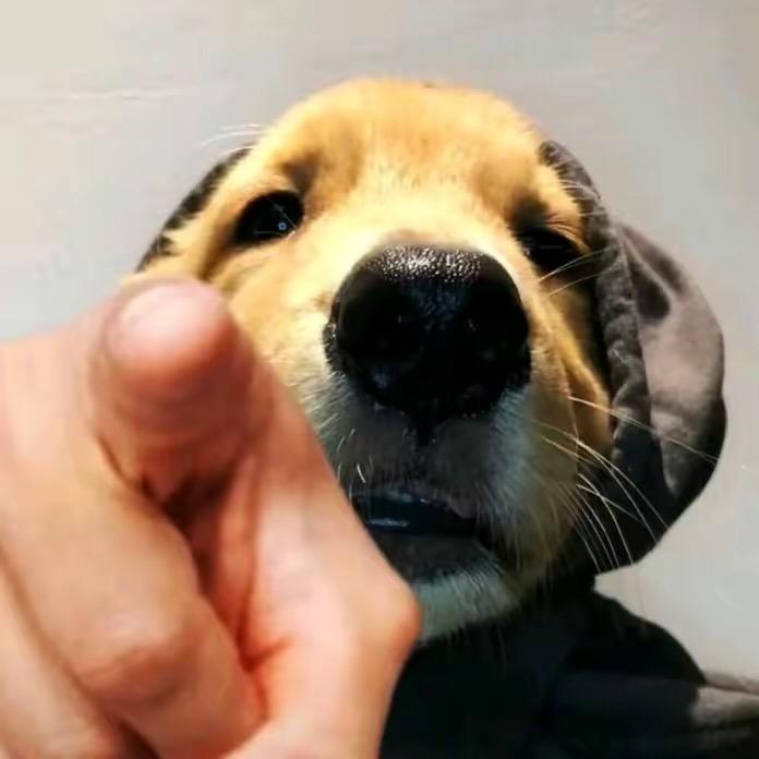 空余少年梦等1000多人