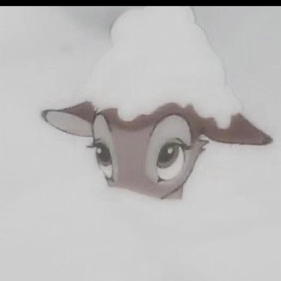 cc 鱼美人