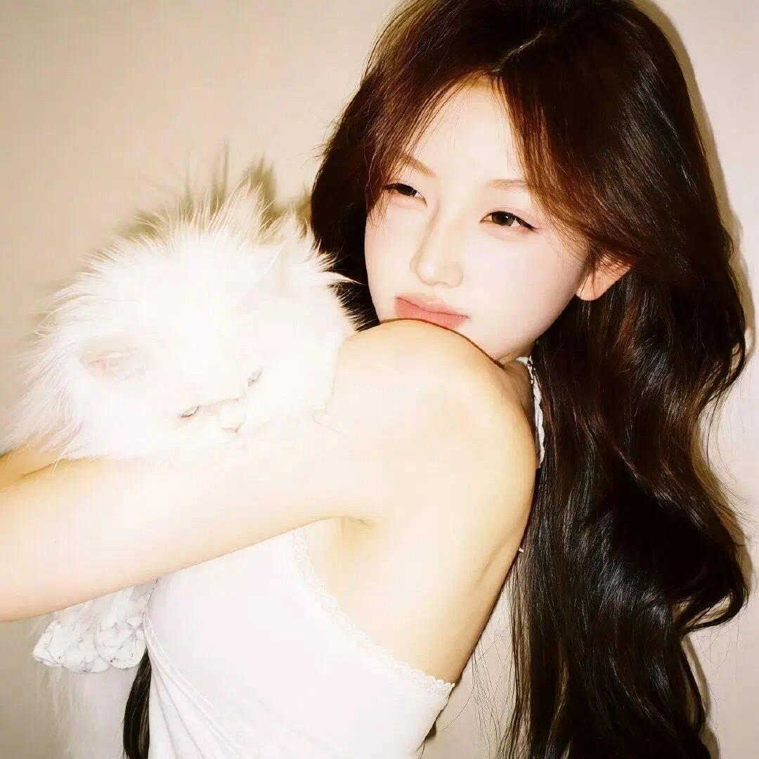 Dirsch77（三角洲行动）