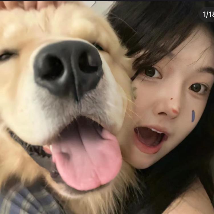 阿尔卑斯