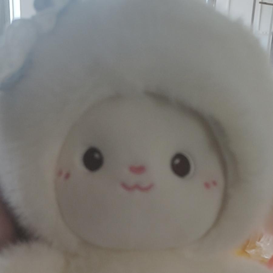 💤慧慧💫