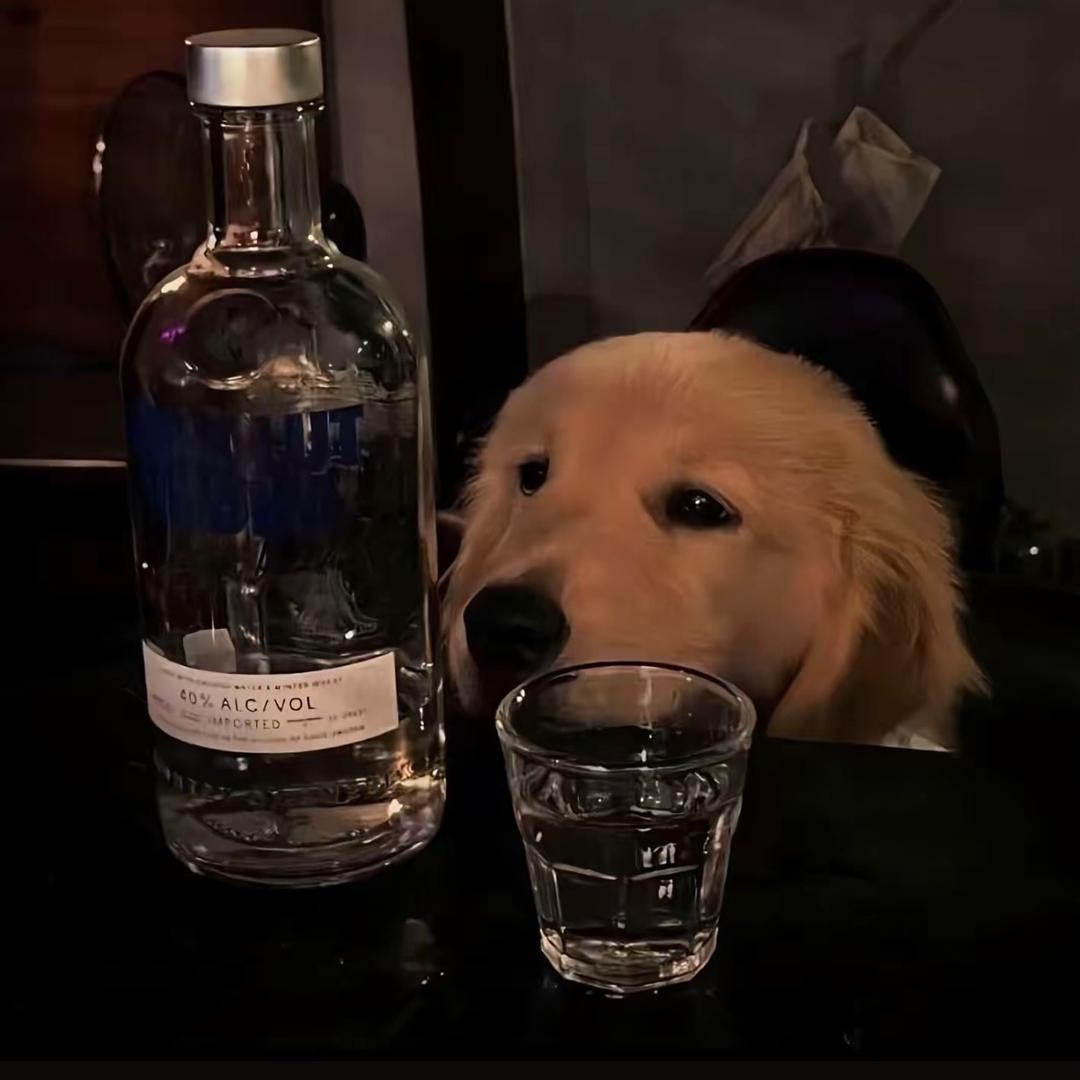 亚特小李（喝酒d）