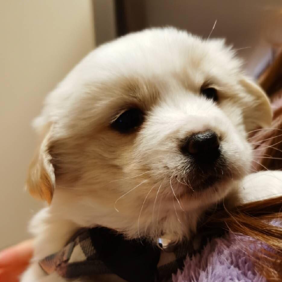 君泽［三角洲行动］