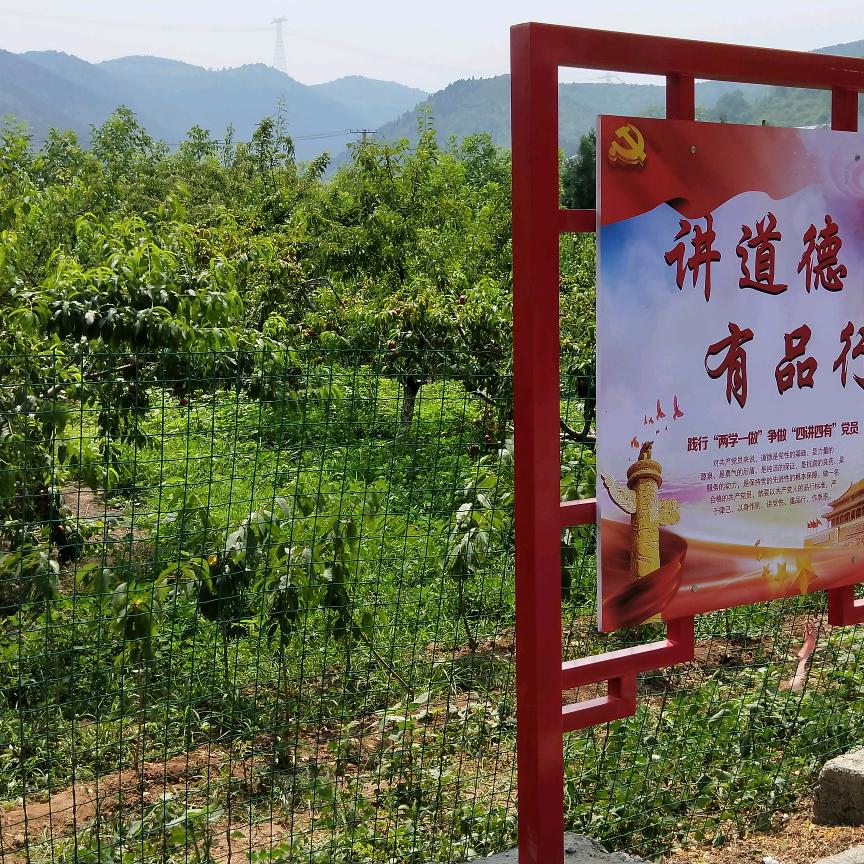 聚焦网