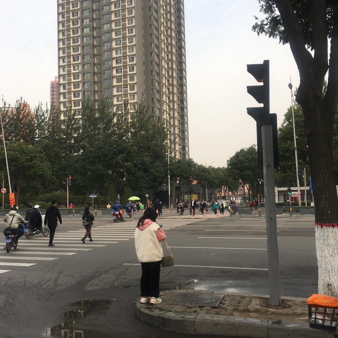 秋季的美好🌺🌹