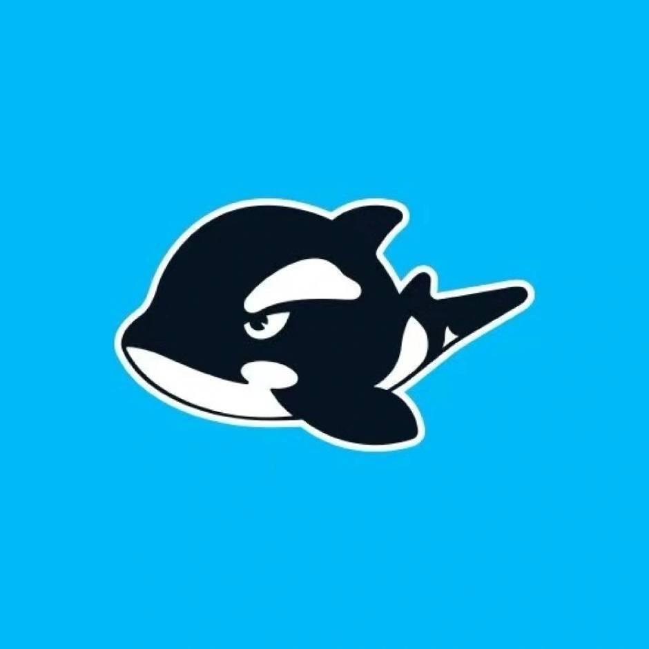 網魚電競-香港⌨️