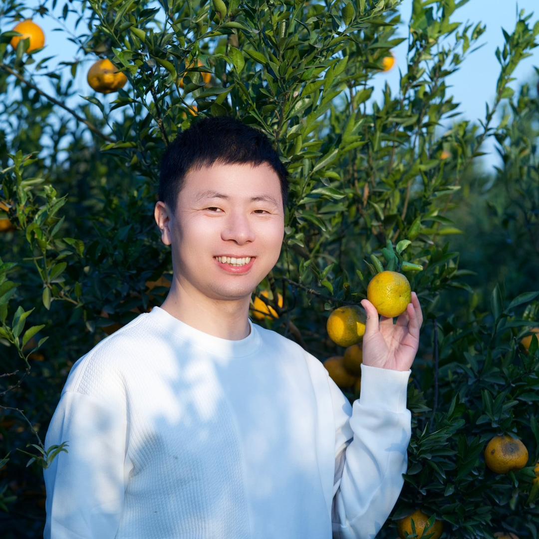 海波（新会陈皮）