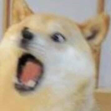 Lee李
