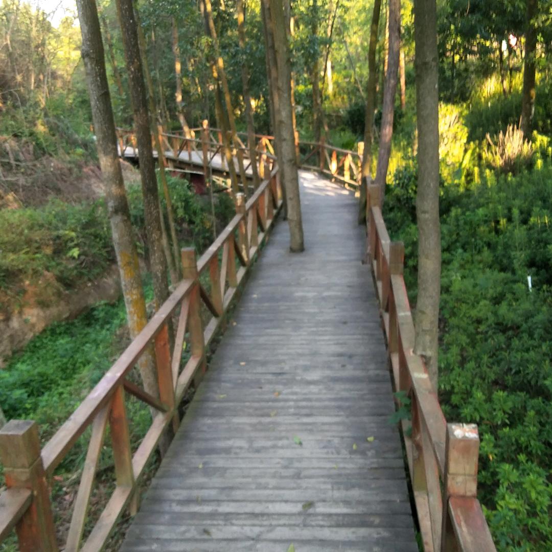 广告，传媒
