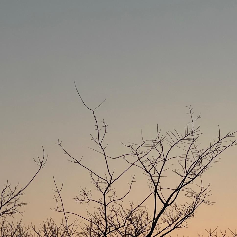 盛夏