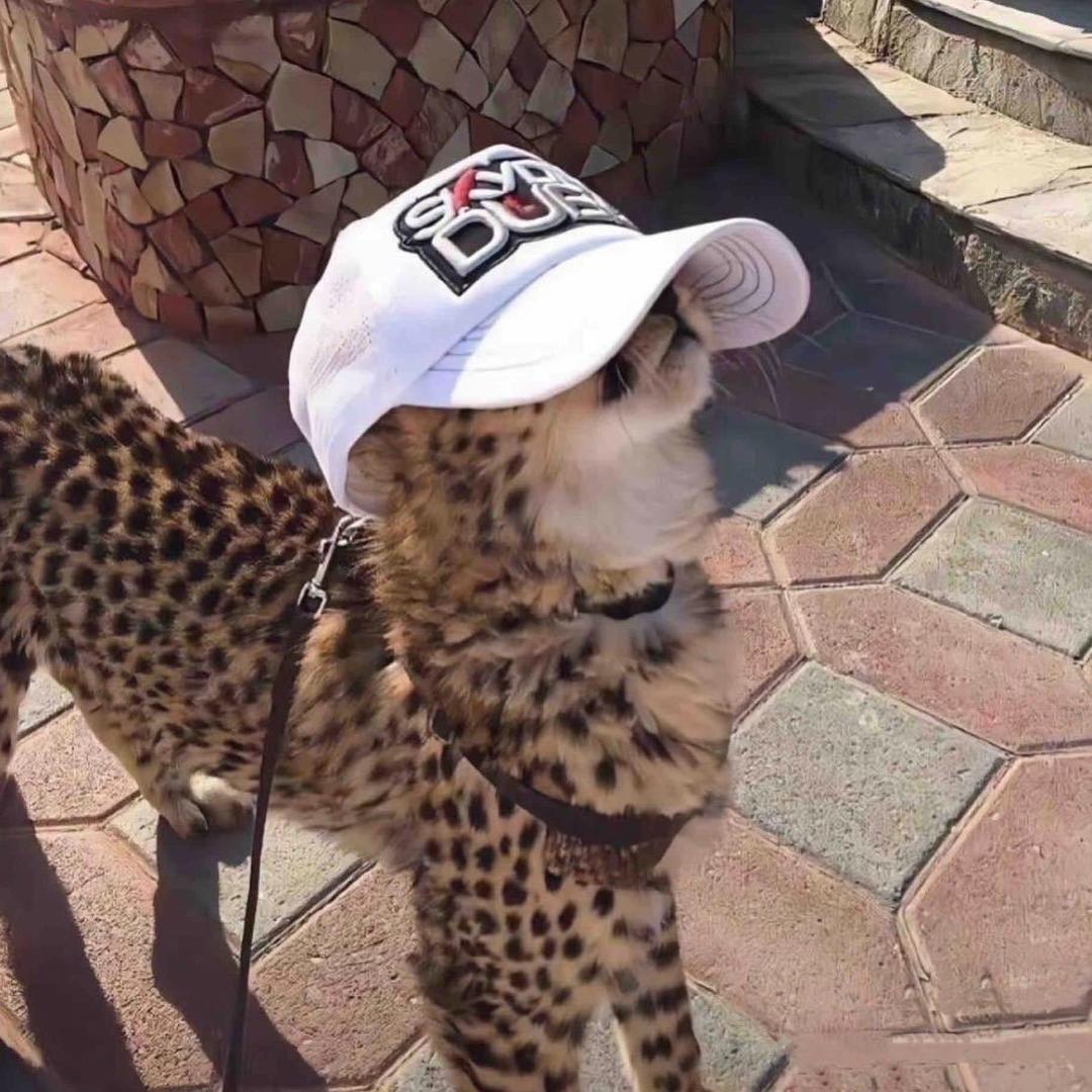 小凡（三角洲跑男）