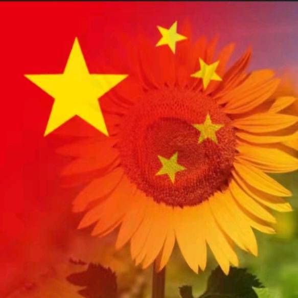 🇨🇳  顺其自然🇨