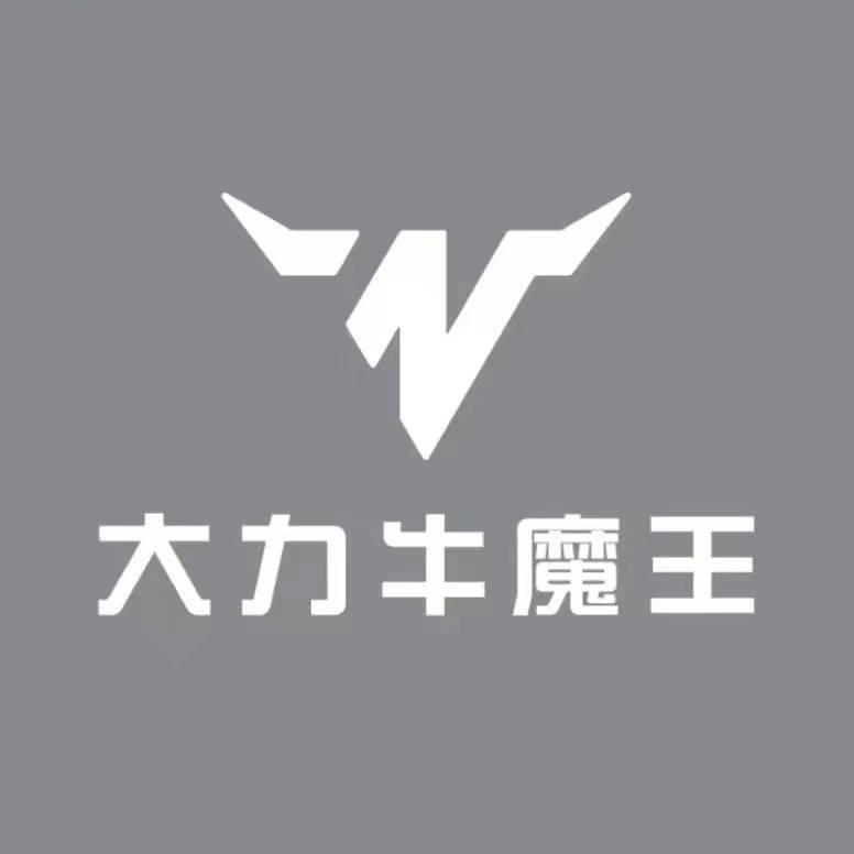 大力牛魔王汽车直播间
