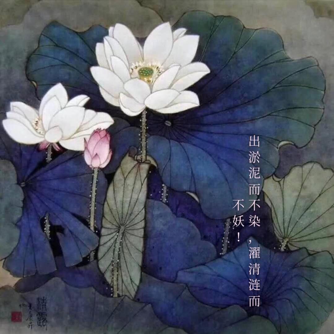 春色满园（手机摄影）
