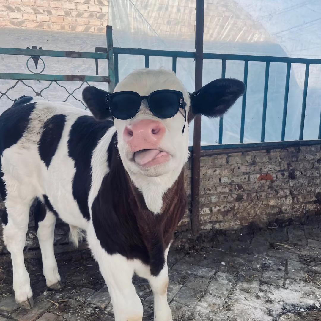 大牛台球俱乐部