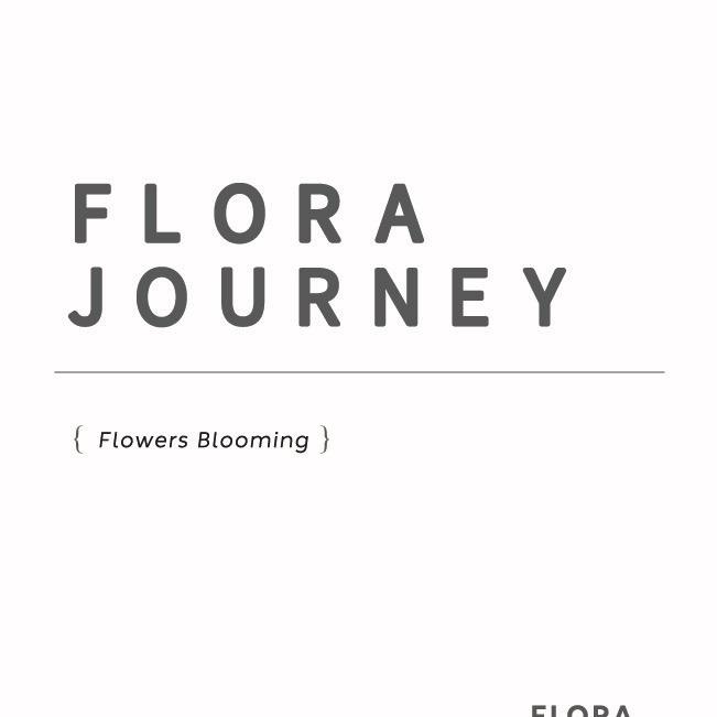 植物的旅程花艺