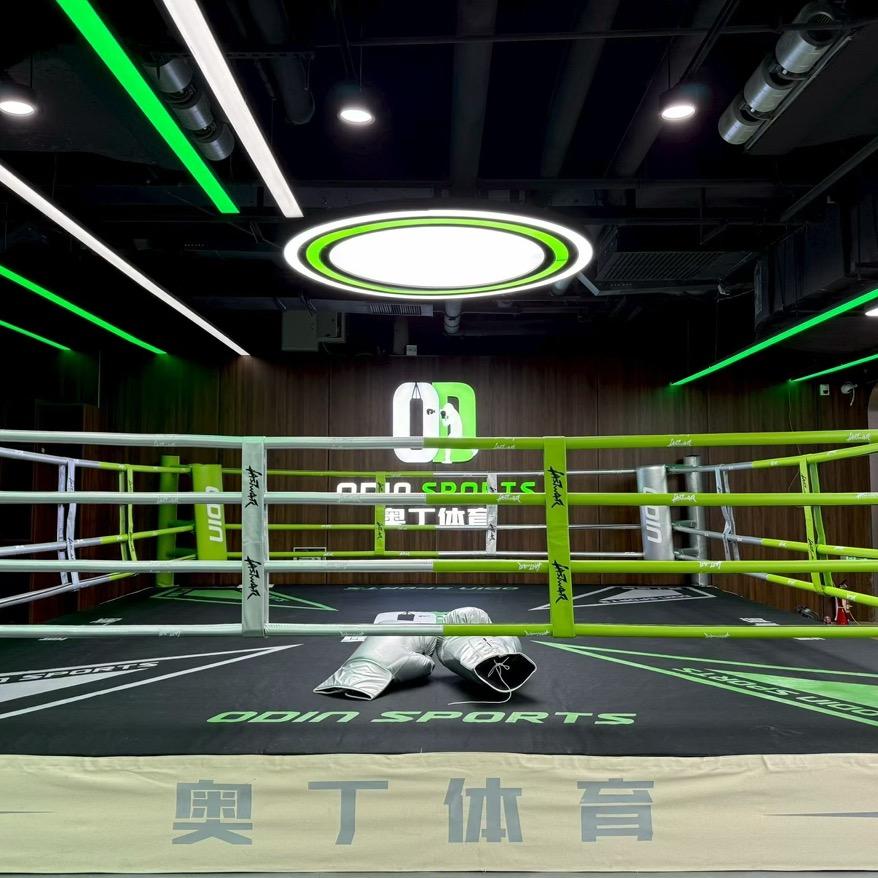 奥丁拳击·艾西