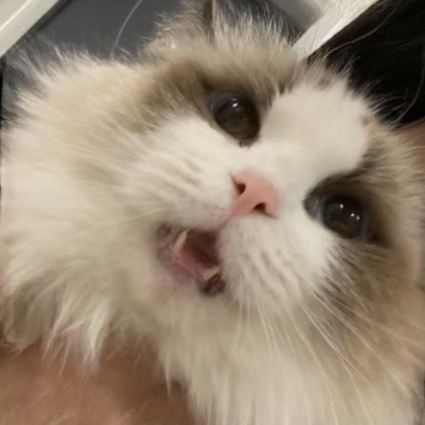 点点的❤️