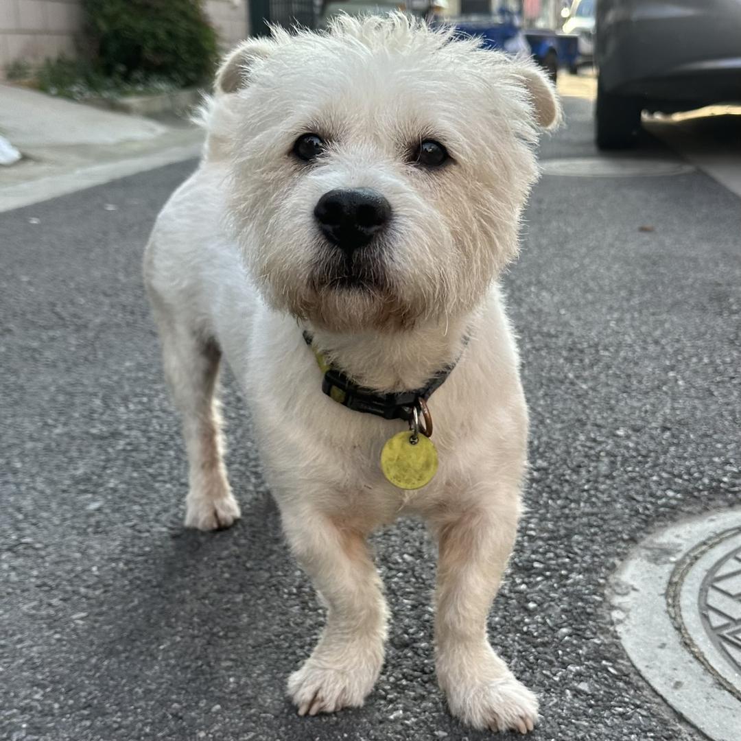 好生气（自己玩