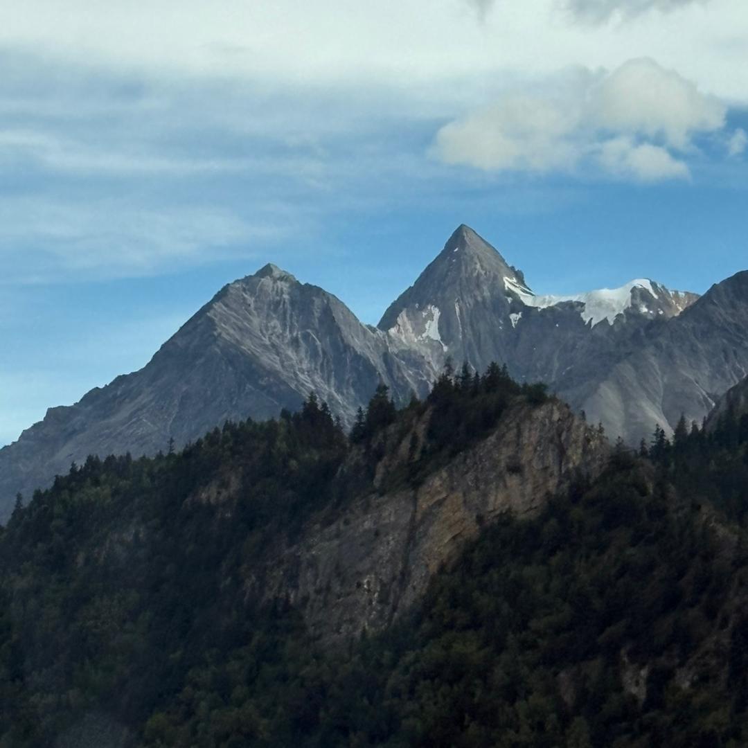 茶茶(三角洲护航)