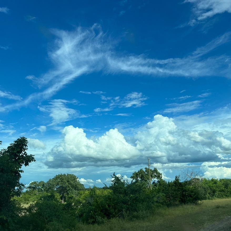 坦桑尼亚奥德彪