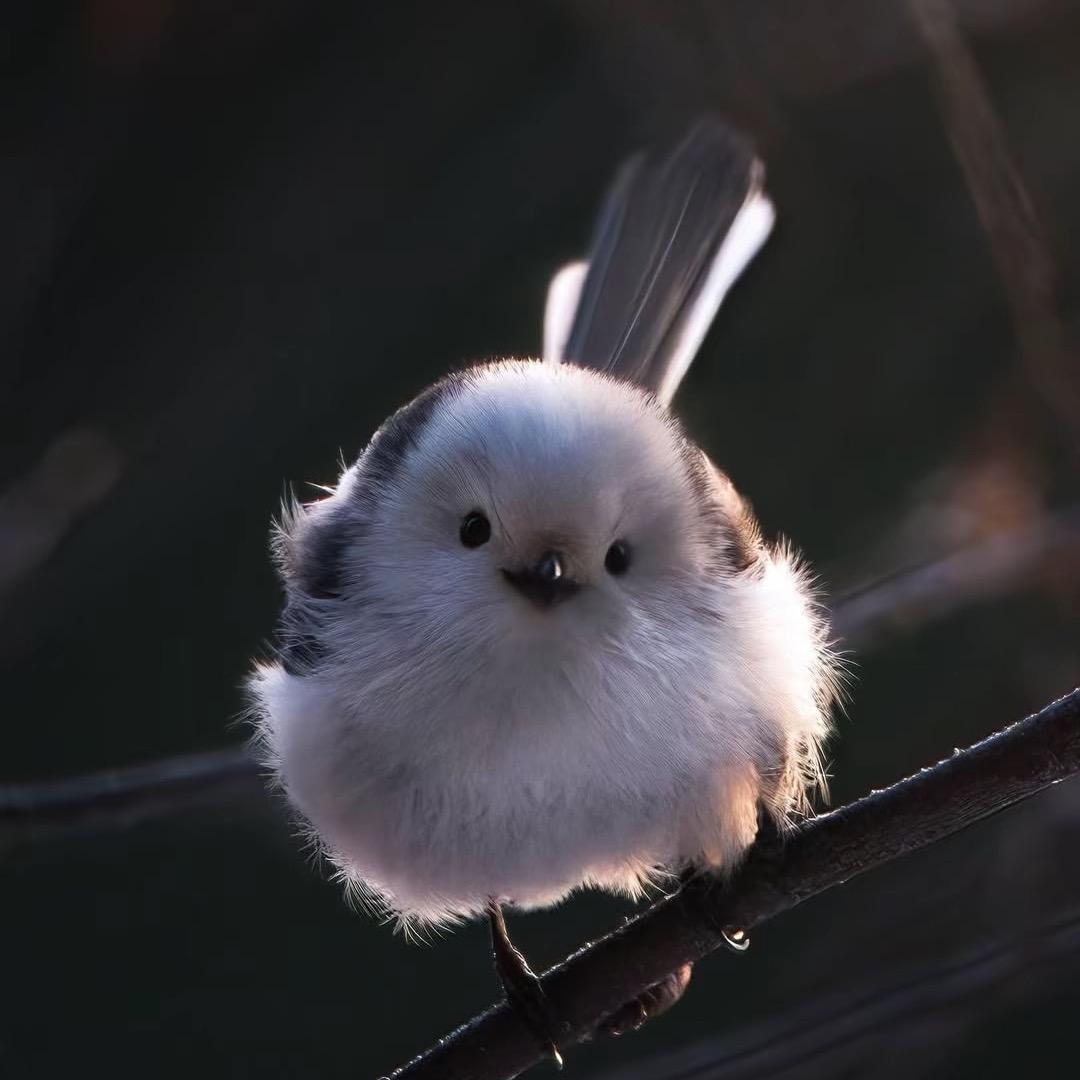 时光倒流美业-文文