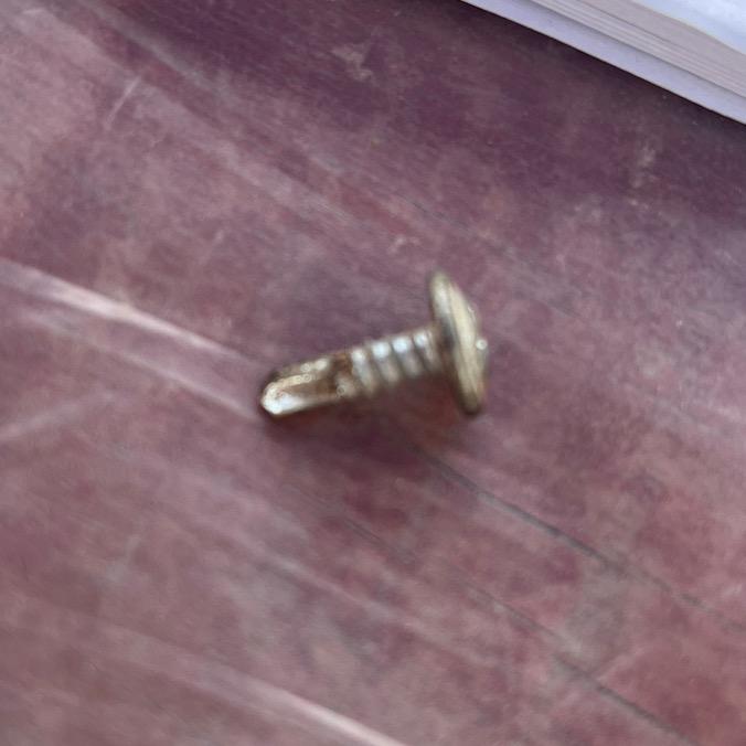 晒太阳的兰阳阳