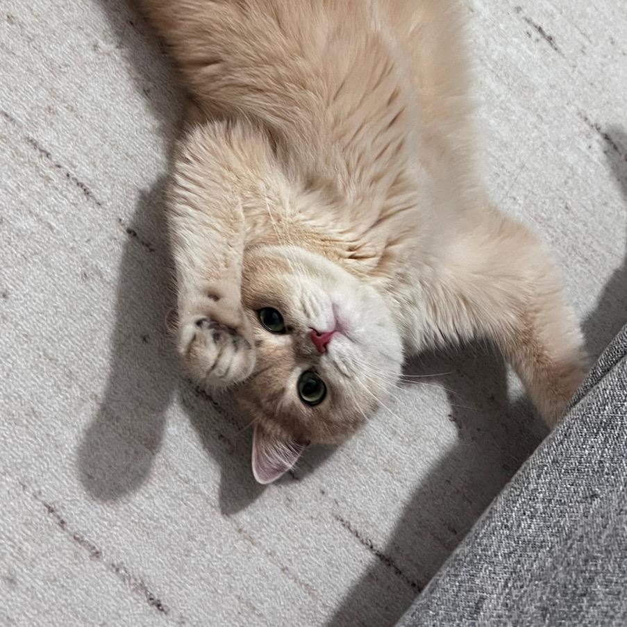 徐小咪大王是也